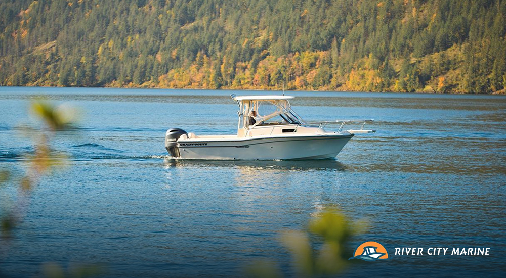 The Kootenay Region