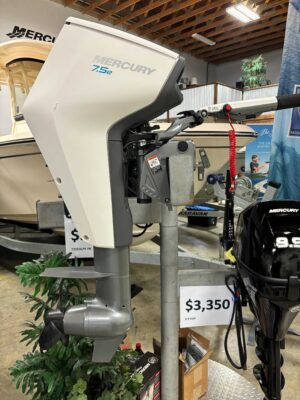 2024 Avator ESH